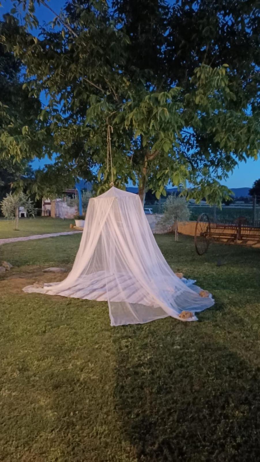 La Vecchia Stalla B&B Narni Dış mekan fotoğraf