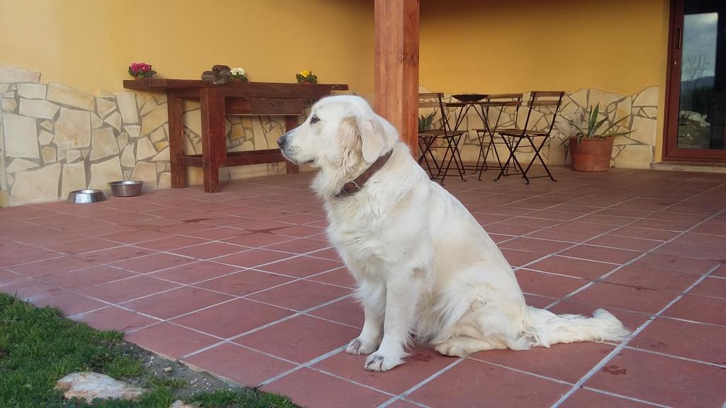 La Vecchia Stalla B&B Narni Dış mekan fotoğraf
